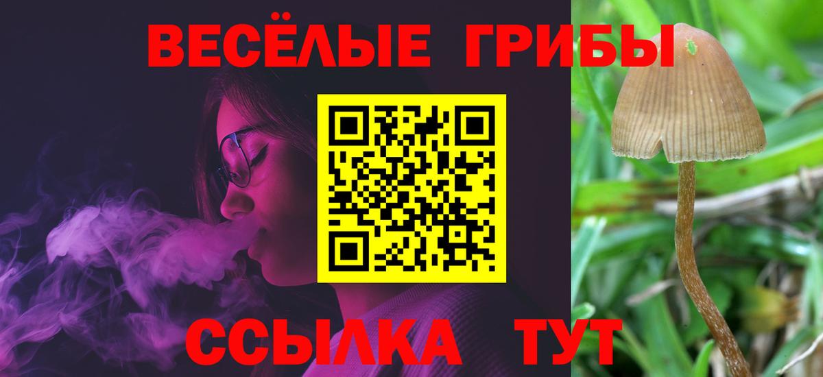 Псилоцибиновые грибы прущие грибы  Вход с VPN  Казань  Псилоцибиновые грибы мухоморы 